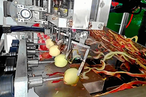多功能水果去皮机如何满足多样化果蔬加工需求的